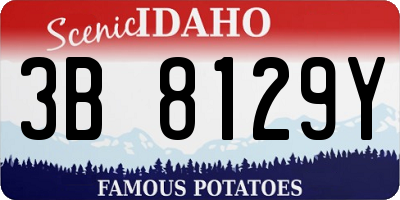 ID license plate 3B8129Y