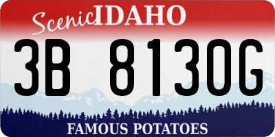 ID license plate 3B8130G