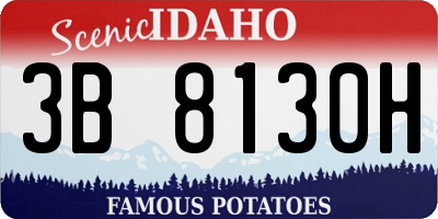 ID license plate 3B8130H