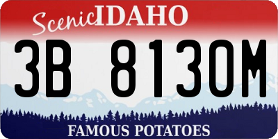 ID license plate 3B8130M