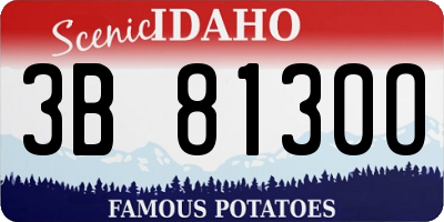 ID license plate 3B8130O