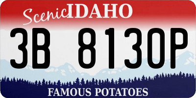 ID license plate 3B8130P