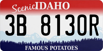 ID license plate 3B8130R