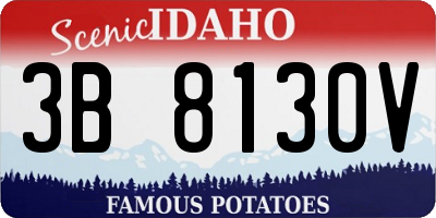 ID license plate 3B8130V
