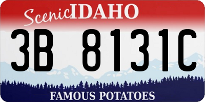ID license plate 3B8131C