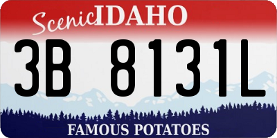 ID license plate 3B8131L