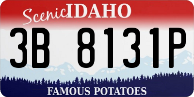 ID license plate 3B8131P