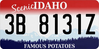 ID license plate 3B8131Z