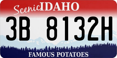 ID license plate 3B8132H