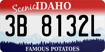 ID license plate 3B8132L