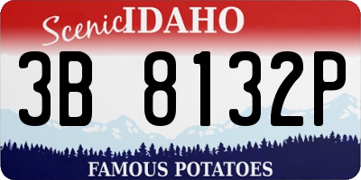ID license plate 3B8132P