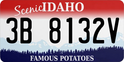 ID license plate 3B8132V