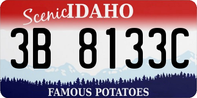 ID license plate 3B8133C