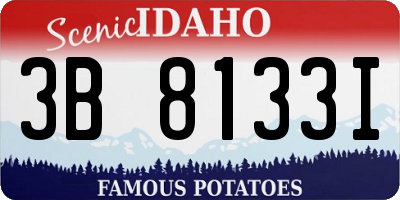ID license plate 3B8133I