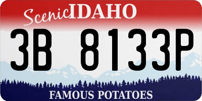 ID license plate 3B8133P