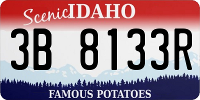 ID license plate 3B8133R