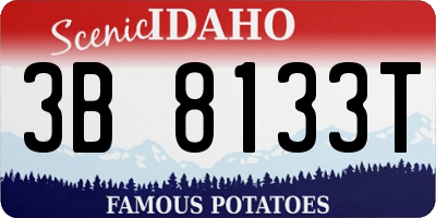 ID license plate 3B8133T