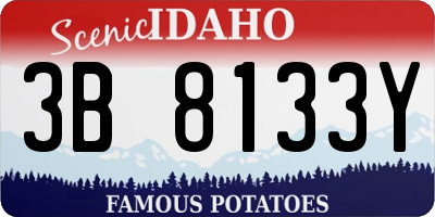 ID license plate 3B8133Y