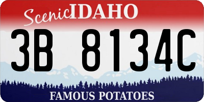 ID license plate 3B8134C