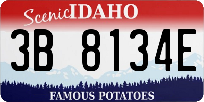 ID license plate 3B8134E