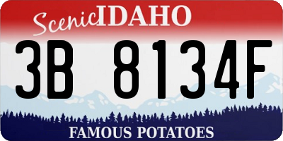 ID license plate 3B8134F