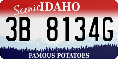 ID license plate 3B8134G