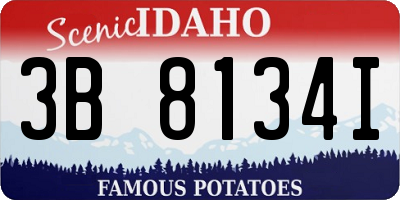 ID license plate 3B8134I
