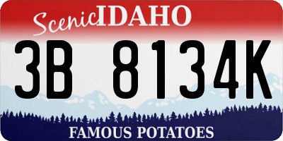 ID license plate 3B8134K