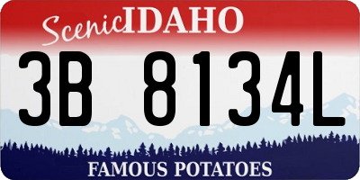 ID license plate 3B8134L