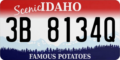 ID license plate 3B8134Q