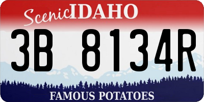 ID license plate 3B8134R