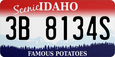 ID license plate 3B8134S