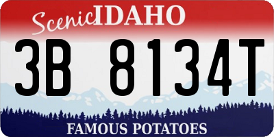 ID license plate 3B8134T