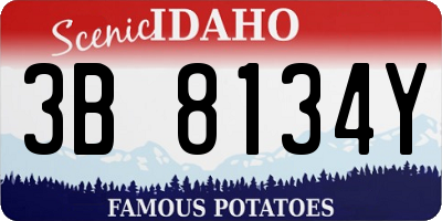 ID license plate 3B8134Y