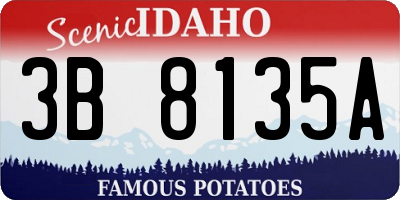 ID license plate 3B8135A