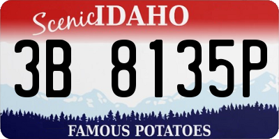 ID license plate 3B8135P
