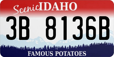 ID license plate 3B8136B