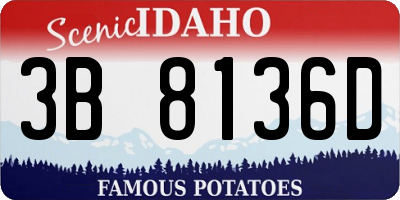 ID license plate 3B8136D