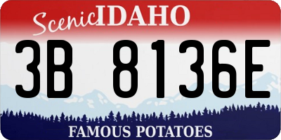 ID license plate 3B8136E