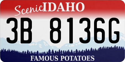 ID license plate 3B8136G