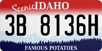 ID license plate 3B8136H