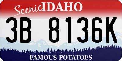 ID license plate 3B8136K