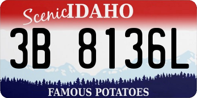 ID license plate 3B8136L