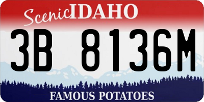 ID license plate 3B8136M