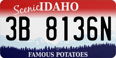 ID license plate 3B8136N