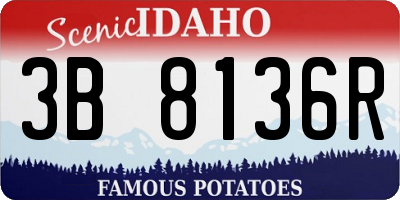 ID license plate 3B8136R