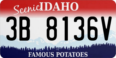 ID license plate 3B8136V