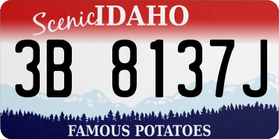 ID license plate 3B8137J