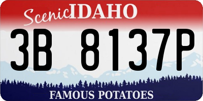 ID license plate 3B8137P