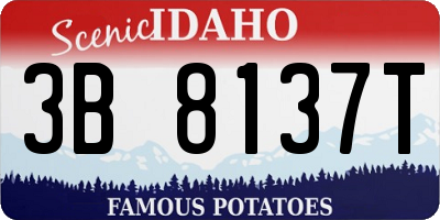 ID license plate 3B8137T